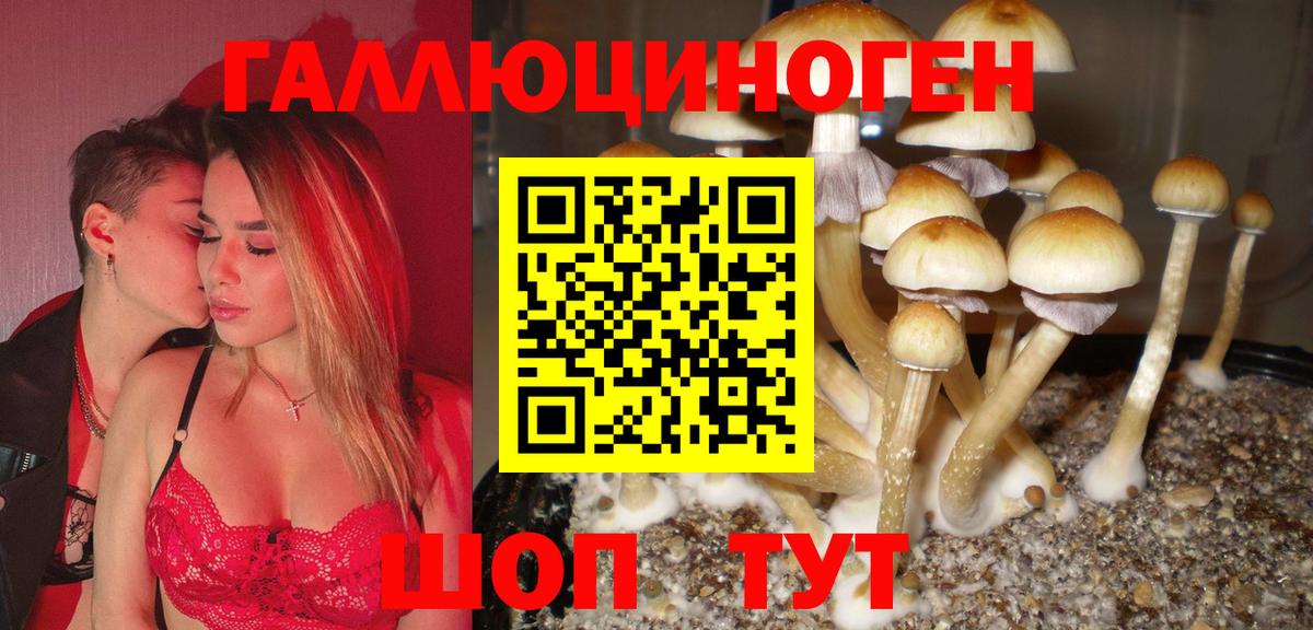 Псилоцибиновые грибы Psilocybine cubensis Калуга
